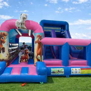 HJ49 Ponies slide, obstacle course