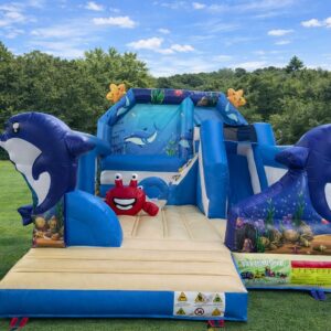 HJ21 Dolphin slide, obstacle bouncy castle