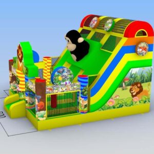 Zoo double slide, obstacle course