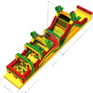 Cactus obstacle course